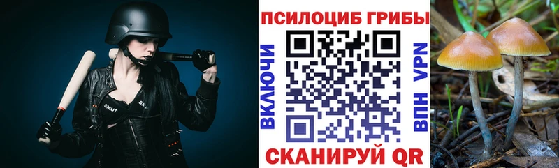 где продают   Кинешма  Псилоцибиновые грибы MAGIC MUSHROOMS 